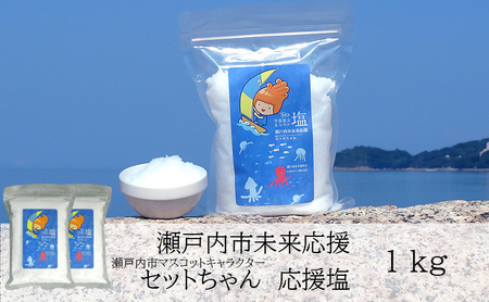 塩 粗塩 セットちゃん 応援塩 1kg(500g×2袋) 
