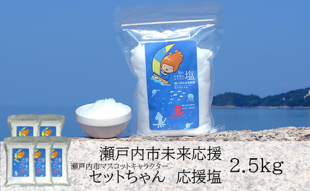 塩 粗塩 セットちゃん 応援塩 2.5kg(500g×5袋) 