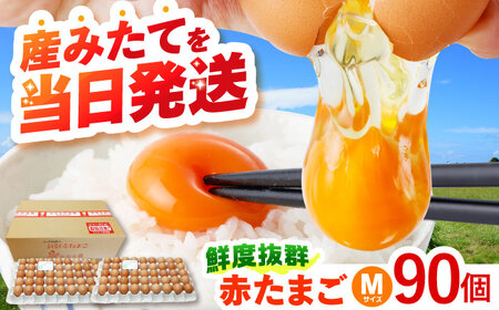 〈数量限定〉【朝採れ直送】小峰鶏園 赤たまご Mサイズ 90個 / 卵 玉子 たまご 卵焼き 玉子焼き 生卵 鶏卵 卵かけごはん / 諫早市 / 小峰鶏園 [AHFB002]