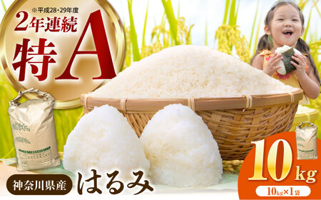 【白米】はるみ米 10kg 白米 [BDBB003]