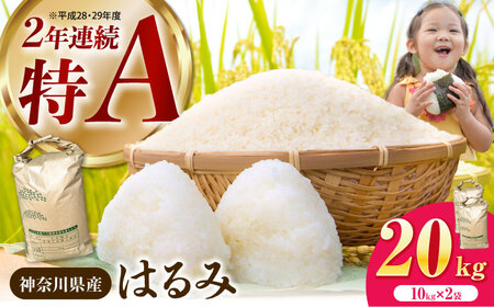 【白米】はるみ米 20kg 白米   [BDBB004]