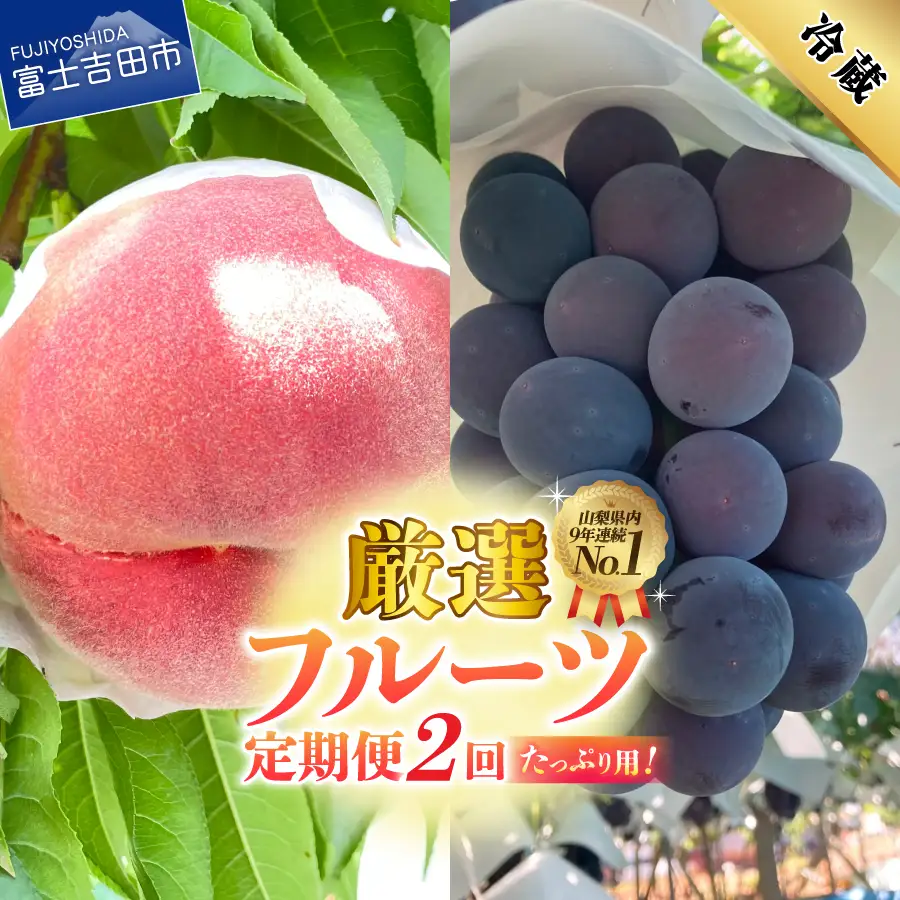 2回 厳選旬のフルーツ定期便（桃2kg・黒ぶどう1kg以上）【2026年発送】定期便