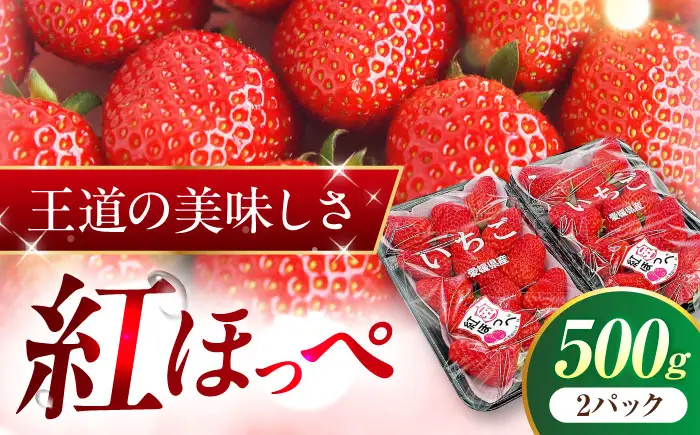 いちご 「紅ほっぺ」 2パック【株式会社フジ・アグリフーズ】BKAY001