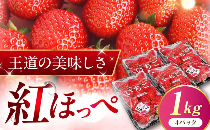 いちご 「紅ほっぺ」 4パック 【株式会社フジ・アグリフーズ】BKAY002