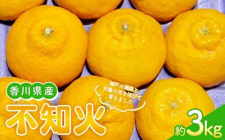 【先行予約 2027年2月～3月頃お届け】不知火(約3kg) しらぬひ しらぬい 柑橘 果物 香川県 琴平町 フルーツみかん 旬 F5J-1032