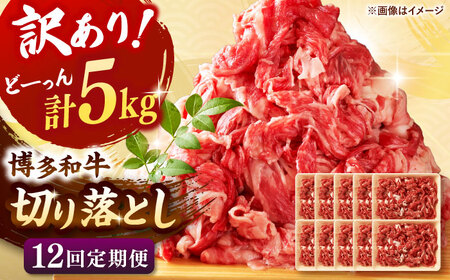 【全12回定期便】【訳あり】博多和牛 切り落とし 5kg(500g×10p） 桂川町/株式会社 MEAT PLUS [ADAQ131] 切り落とし肉 牛肉 国産 小分け 大容量