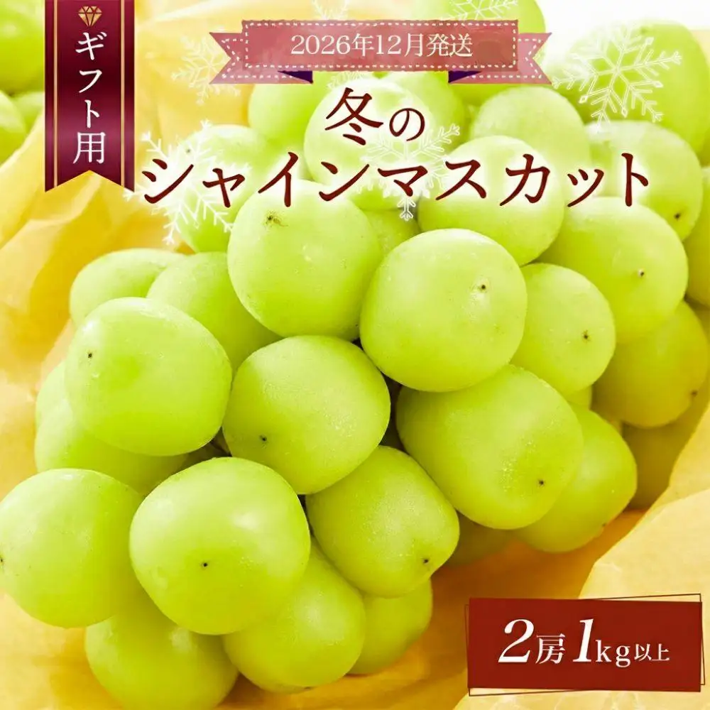 ＜先行予約＞【ギフト】 冬のシャインマスカット【2026年12月発送】 2房(1kg以上) [025-a033]