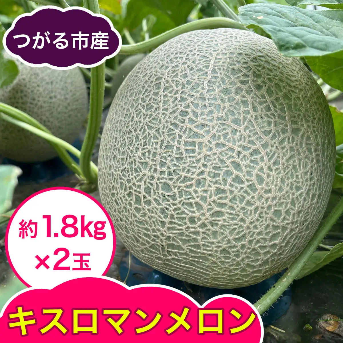 キスロマン メロン 約1.8kg×2玉 [0862]