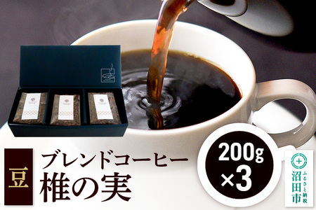 ブレンドコーヒー 豆「椎の実」200g×3袋 土田商店