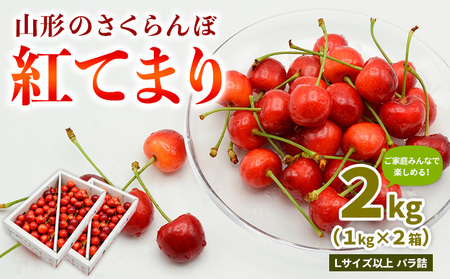 【ご家庭みんなで楽しめる！2kg】山形のさくらんぼ 紅てまり 2kg Lサイズ以上 バラ詰 (1kg×2箱) 【令和8年産先行予約】FS25-009