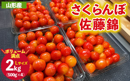 ご家庭みんなで楽しむ2kg！さくらんぼ 佐藤錦 Lサイズ 2kg (500g×4パック入り) 【令和8年産先行予約】FS25-031