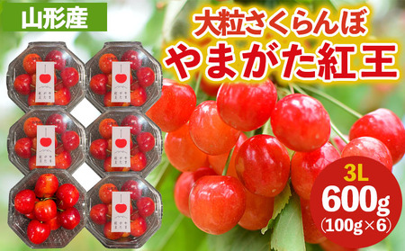 大粒のさくらんぼ「やまがた紅王」3Lサイズ 600g (100×６パック入り) 【令和8年産先行予約】FS25-032