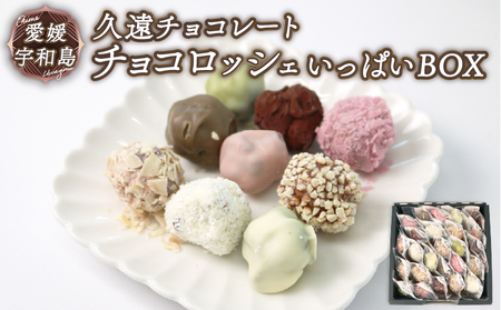 ロッシェ 25個 久遠 チョコレート ちょこちょこ チョコレート J010-167007