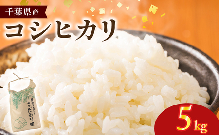 【令和7年産】 コシヒカリ 5kg 精米 白米 米 コメ