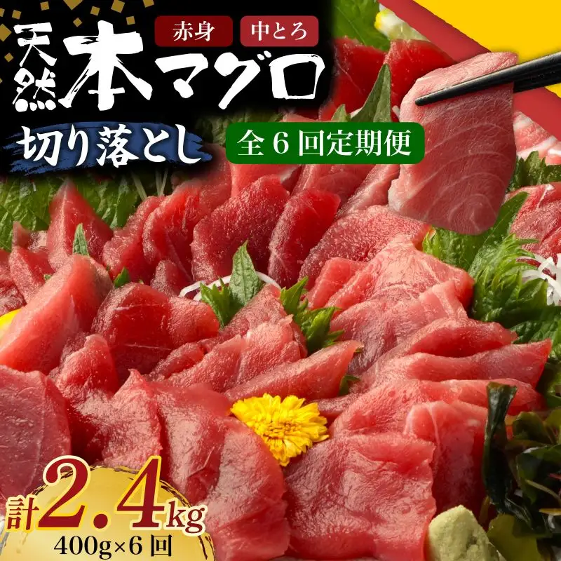 【定期便/計6回】本南マグロ 中トロ・赤身 400g【まぐろ】 Woo-tk150
