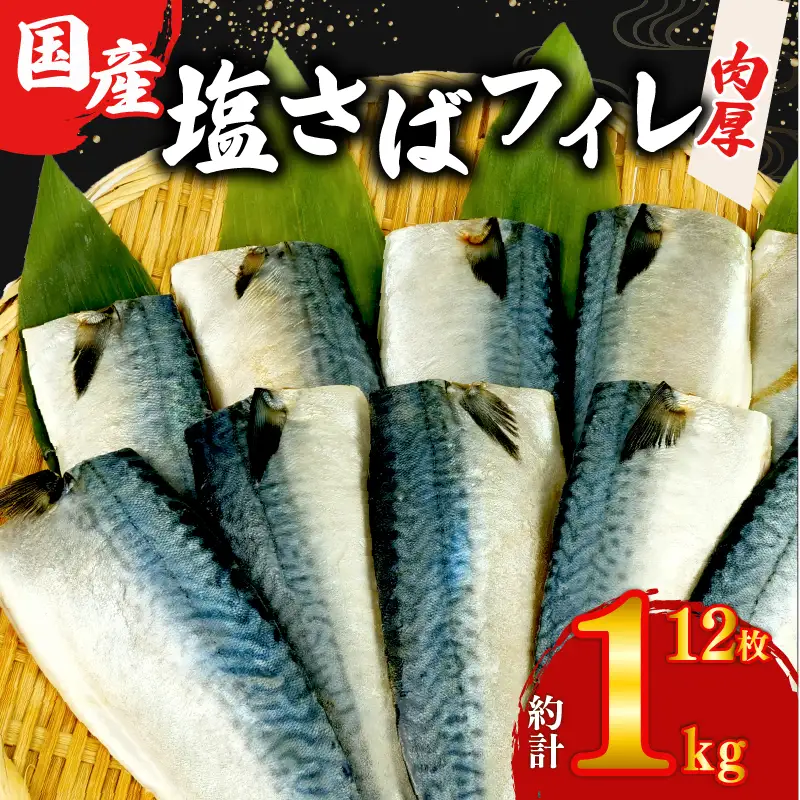 サバ フィレ 国産 塩鯖 12枚約1kg 鯖 沼津 さば サバ