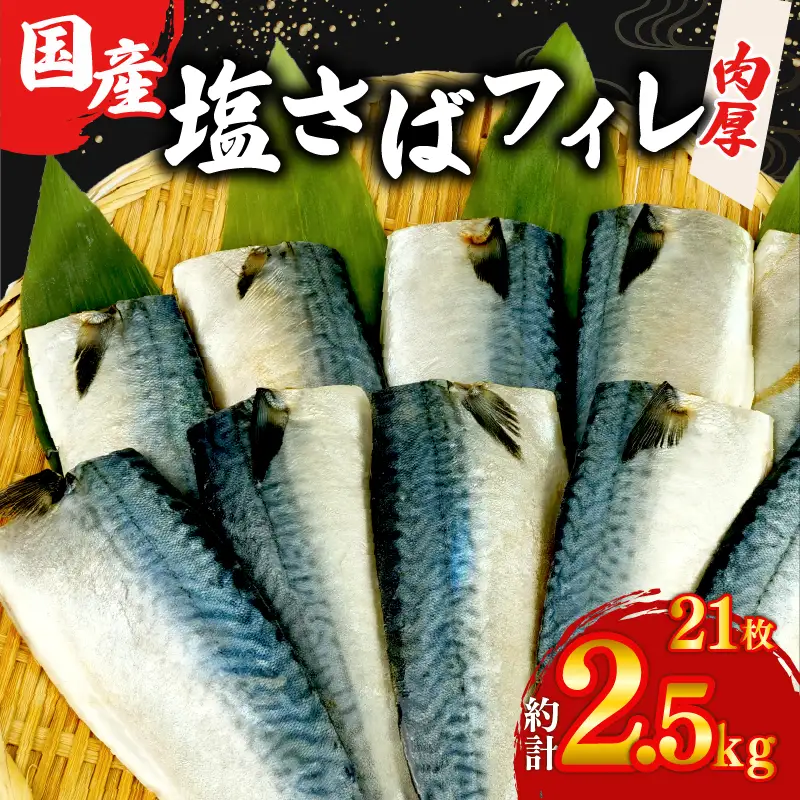サバ フィレ 国産 塩鯖 21枚約2.5kg 鯖 沼津 さば サバ