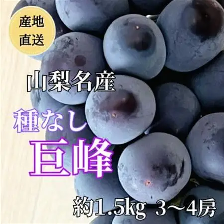 ◆2026年発送◆産地直送 山梨名産!種なし巨峰 3～4房(約1.5kg)【配送不可地域：離島】【1644827】