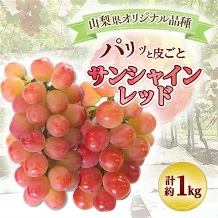 【2026年発送】山梨県オリジナル新品種サンシャインレッド!【計1kg程度】【配送不可地域：離島】【1654856】