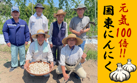 【先行予約】毎日食べて元気モリモリ！国東産乾燥にんにく0.8kg/こだわり減農薬栽培_2610R