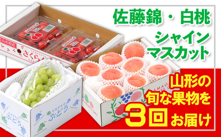 【定期便3回】☆フルーツ王国山形☆『佐藤錦、白桃、シャインマスカット』 FZ26-814