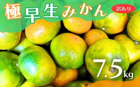 【訳あり・ご家庭用】こだわりの極早生みかん 約7.5kg 【2026年10月上旬～11月上旬に順次発送予定（お届け日指定不可）】 有機質肥料100% サイズ混合  有田産【CE-nuk166B】