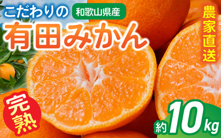 【訳あり・ご家庭用】農家直送 こだわりの 完熟 有田みかん 約10kg＋150g(傷み補償分) 【2026年12月中に順次発送予定】 有機質肥料100% 有田みかん みかん ミカン 蜜柑 柑橘 果物 フルーツ 甘い 温州みかん 先行予約 【CE-nuk101D-12】