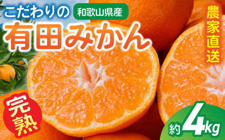 【訳あり・ご家庭用】こだわりの有田みかん 約4kg＋150g(傷み補償分) 【2026年10月中に順次発送予定】 光センサー選別 農家直送 / みかん ミカン 有田みかん 温州みかん 柑橘 フルーツ 果物 くだもの 旬 人気 みかん先行予約 家庭用 和歌山【CE-nuk148D-11】