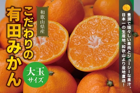 【農家直送】有田みかん 約10kg  大玉3L以上 有機質肥料100% 【2026年11月上旬～12月下旬に順次発送予定(お届け日指定不可)】 / みかん 大玉 蜜柑 有田 柑橘 フルーツ 果物 くだもの 12月【CE-nuk139F】