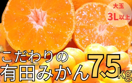 【農家直送】有田みかん 約7.5kg 大玉3L以上 有機質肥料100% 【2026年11月上旬～12月下旬に順次発送予定(お届け日指定不可)】 / みかん ミカン 温州みかん 柑橘 有田 和歌山 産地直送【CE-nuk158D】