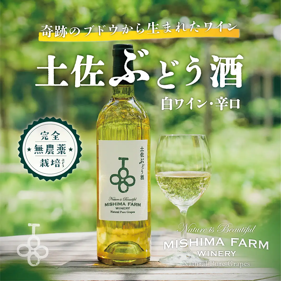 土佐ぶどう酒　白[mf-001]