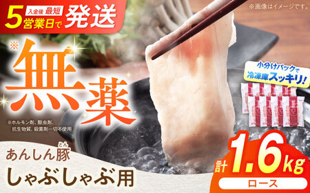 ロースしゃぶしゃぶ用 1.6kg（200g×8） 豚肉 白川町 / 藤井ファーム[AWAF058]