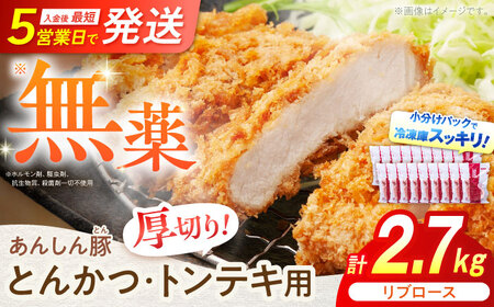 豚肉 リブロース とんかつ・トンテキ用 計2.7kg 白川町 / 藤井ファーム[AWAF069]