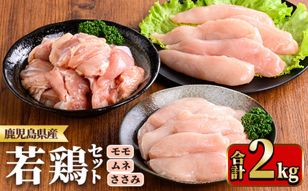 鹿児島県産若鶏セット(合計2kg・もも、むね、ささみ) 国産 九州産 鹿児島県産 鶏肉 鳥肉 鶏 とり 若鶏 冷凍 もも むね ささみ ササミ 筋なし セット 詰め合わせ 小分け 真空 【TRINITY】_y536