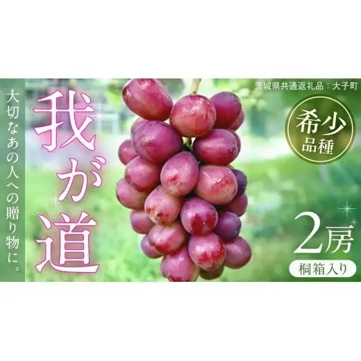 【桐箱入り】 我が道 ２房 【2026年9月上旬発送開始】(茨城県共通返礼品：大子町)