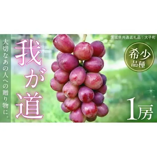 我が道 １房【2026年9月上旬発送開始】(茨城県共通返礼品：大子町)