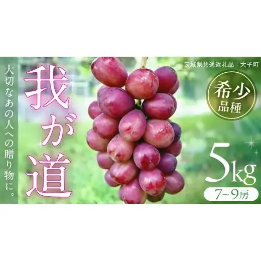 我が道 5kg (7～9房) 【2026年9月上旬発送開始】(茨城県共通返礼品：大子町)