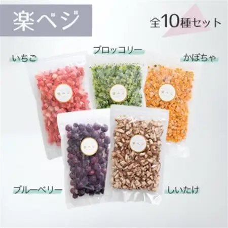 冷凍フルーツと野菜を手軽に!ダイスフルーツと野菜の楽ベジ10種セット【配送不可地域：離島】【1644036】