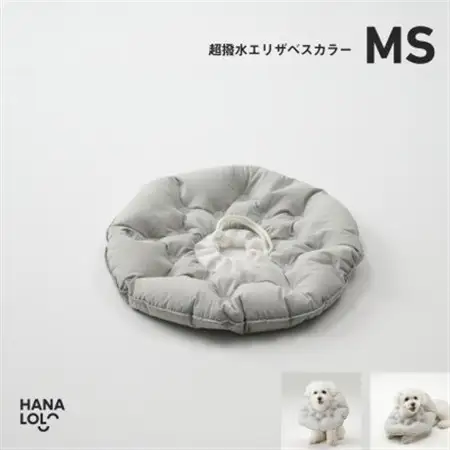 【ハナロロ】エリザベスカラー MS(アッシュグレー)【1645426】