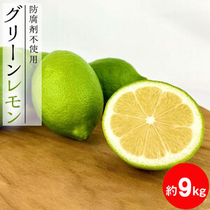 【レモン島から贈る】安心の国産グリーンレモン9kg 2026年10月下旬より発送予定