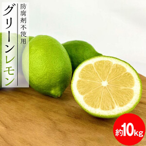 【レモン島から贈る】安心の国産グリーンレモン10kg 2026年10月下旬より発送予定