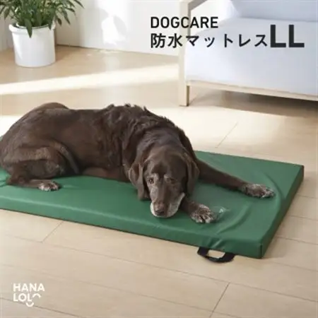 ドッグケア　床ずれ予防マットレス　LL【1645680】
