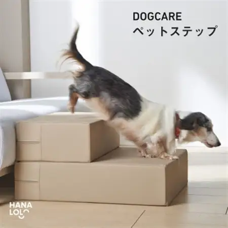 ペットステップ(ベージュ)【1645695】