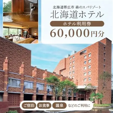 【北海道ホテル】ご宿泊・お食事・温泉などに利用可能!ホテル利用券60,000円分【1371565】
