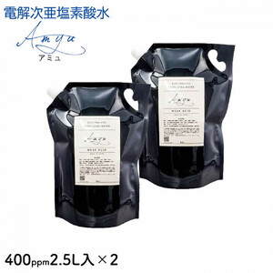 電解次亜塩素酸水　400ppm　【2.5L   2個セット】　除菌・消臭