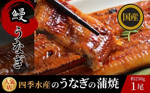 国産うなぎのかば焼き 1切（約250g）