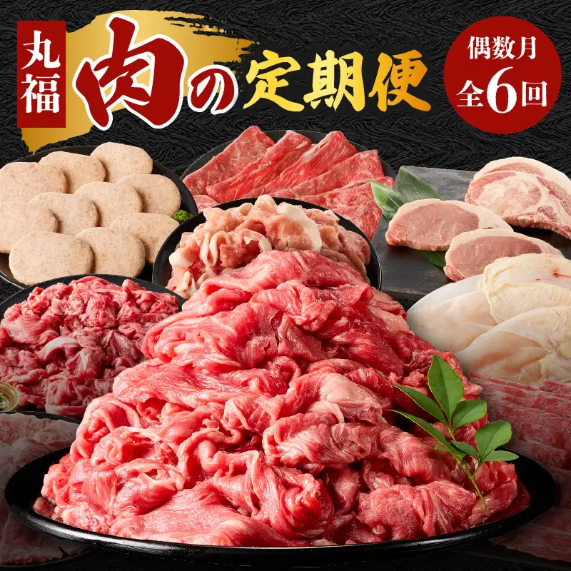 丸福 肉の定期便（6回／偶数月）｜佐賀牛 牛肉 定期便【Z117】