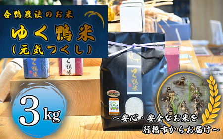 CB-007_合鴨農法のお米「ゆく鴨米」（元気つくし）3ｋｇ～安心･安全なお米を行橋市からお届け