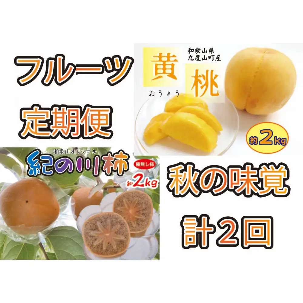 秋の味覚フルーツ定期便 黄桃(黄貴妃)約2kg＆紀の川柿 約2kg【9月・10～11月の計2回発送】