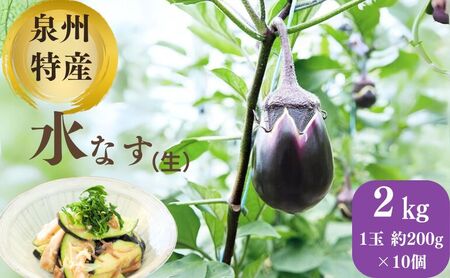 泉州特産 水なす(生) 200g×10個 ナス 茄子 なす 泉州産 水なす 岸和田 岸和田市 岸和田産